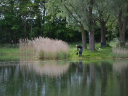 Competities HSV Alfheim